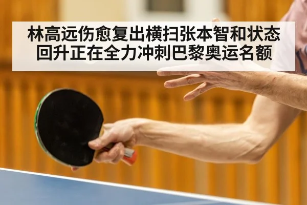 林高远伤愈复出横扫张本智和状态回升正在全力冲刺巴黎奥运名额